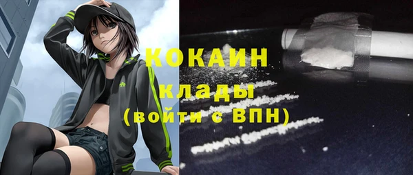твердый Алексеевка
