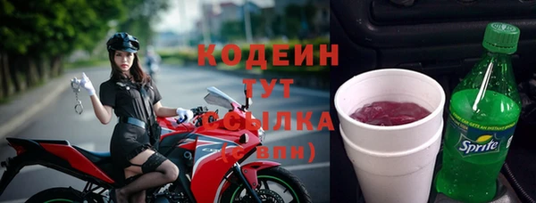 дурь Алексин