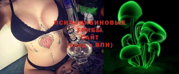 хмурый Алзамай