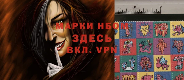 соль ск Пересвет