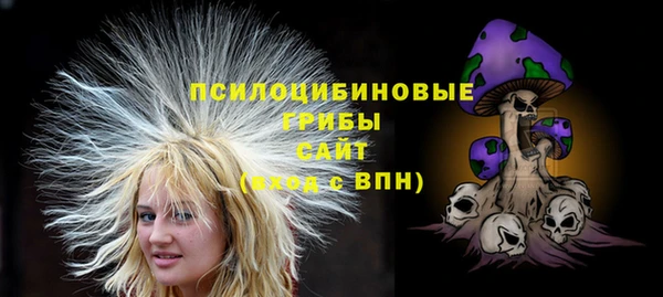 твердый Алексеевка