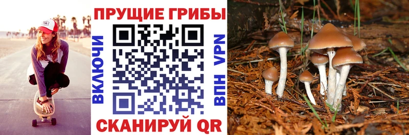 Галлюциногенные грибы Magic Shrooms  Полысаево 